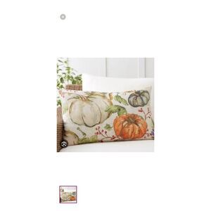 Pottery barn outdoor pillows pumpkins fall theme set of 2